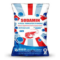SADAMIN