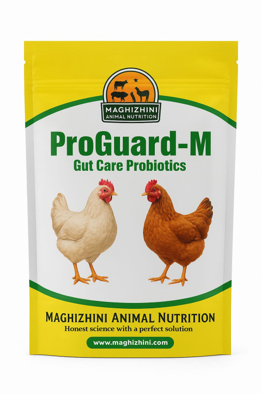 ProGuard  M