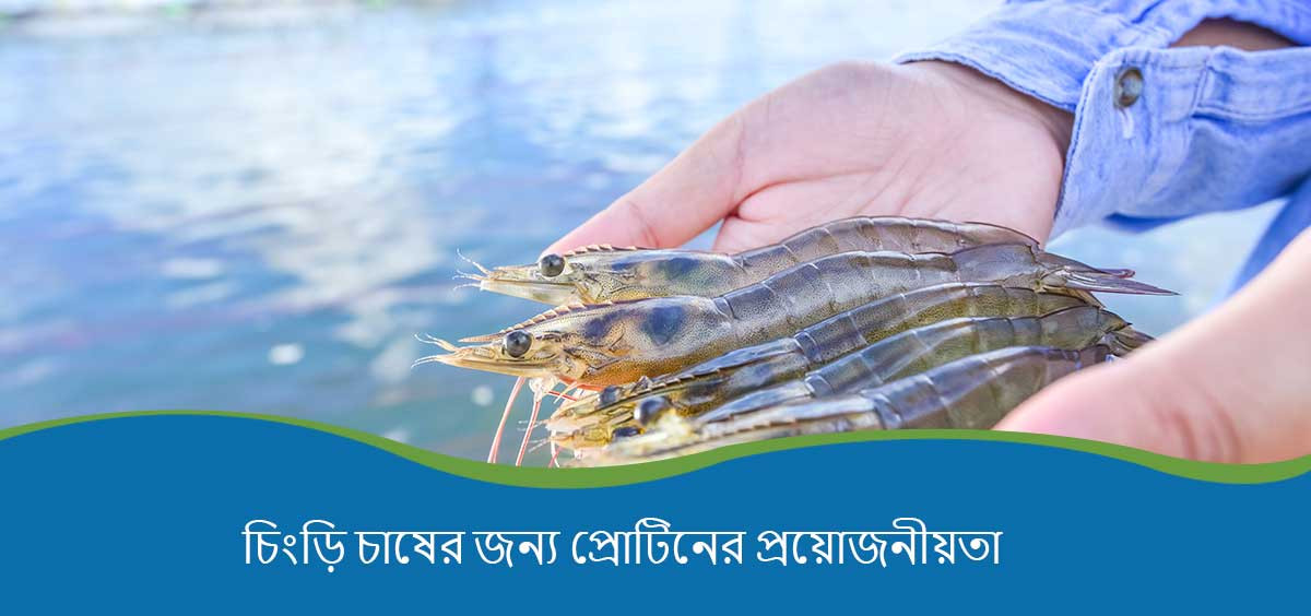 NUTRIENT REQUIREMENTS OF FISH AND SHRIMP 2011 PDF visual data 8