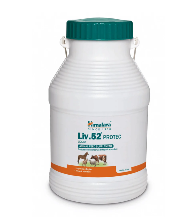 Liv 52 Animal Liquid – The Best Ayurvedic Liver Tonic (5L)