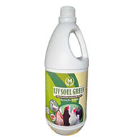 Liv Soul Green