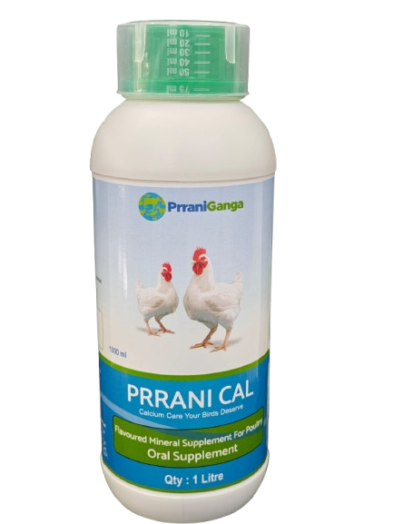 Prranical-Ultimate Calcium & Mineral Supplement (1L Suspension)