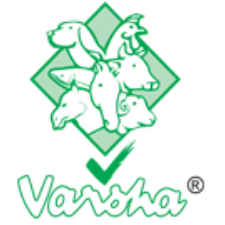 VERSHA
